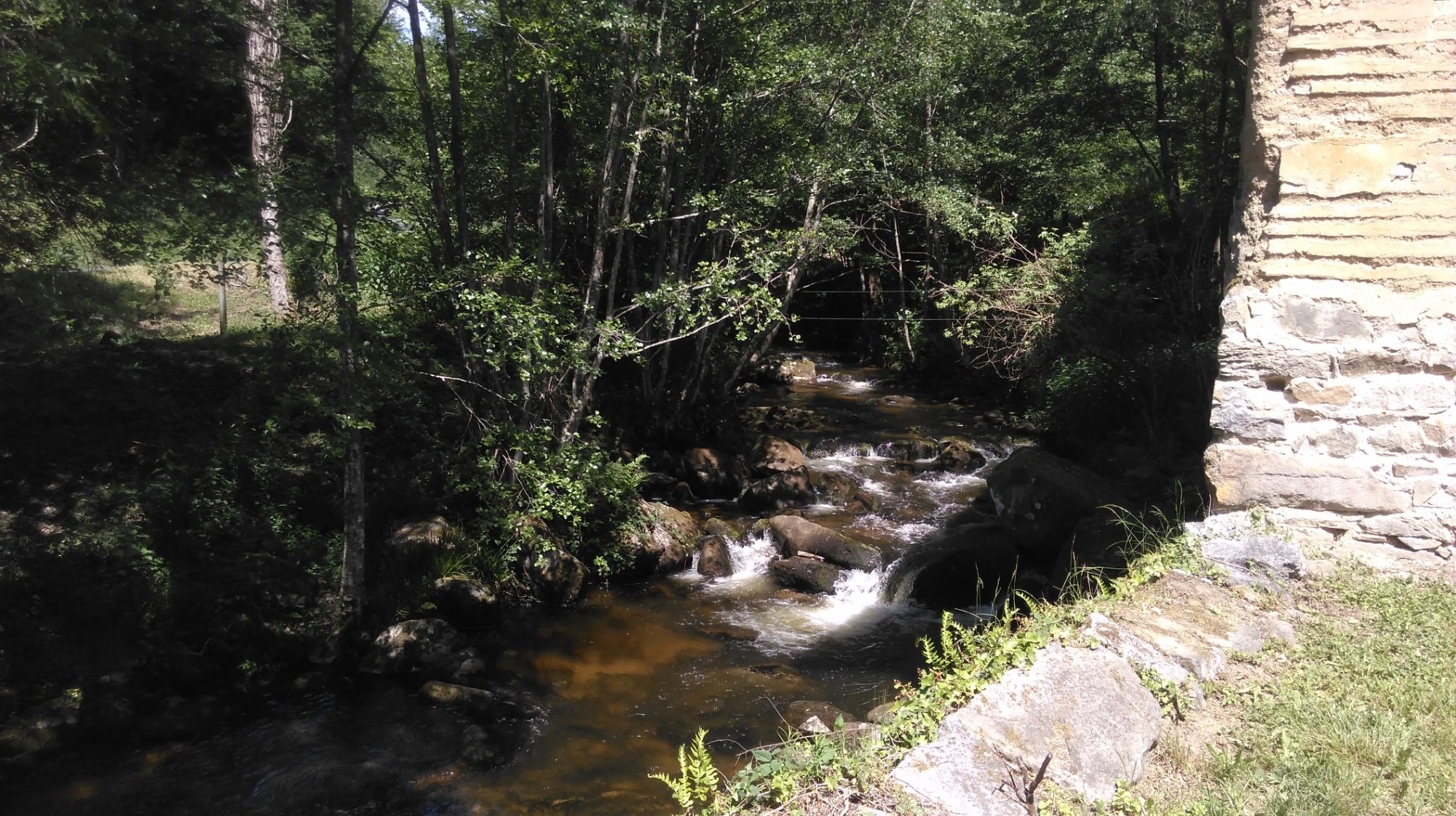 Le Moulin des Vernières-泳池