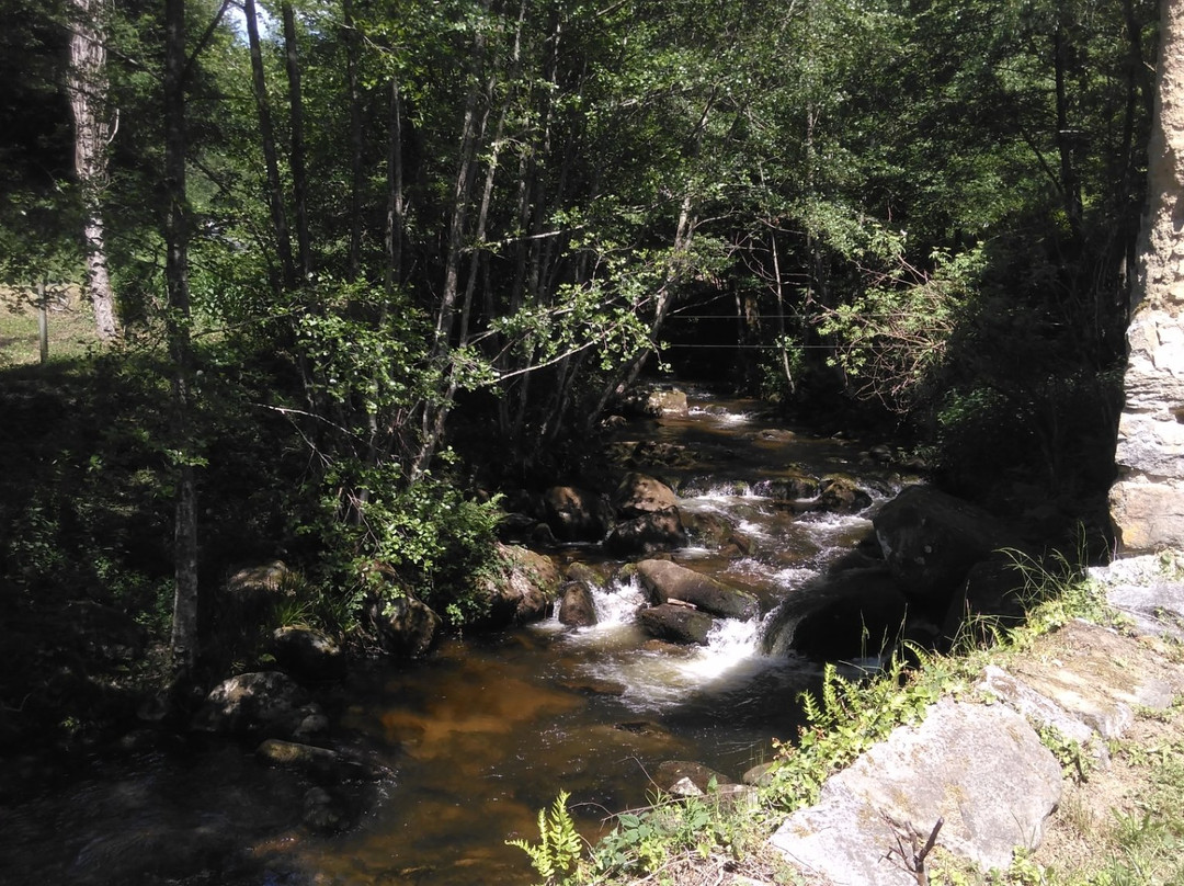 Le Moulin des Vernières主图