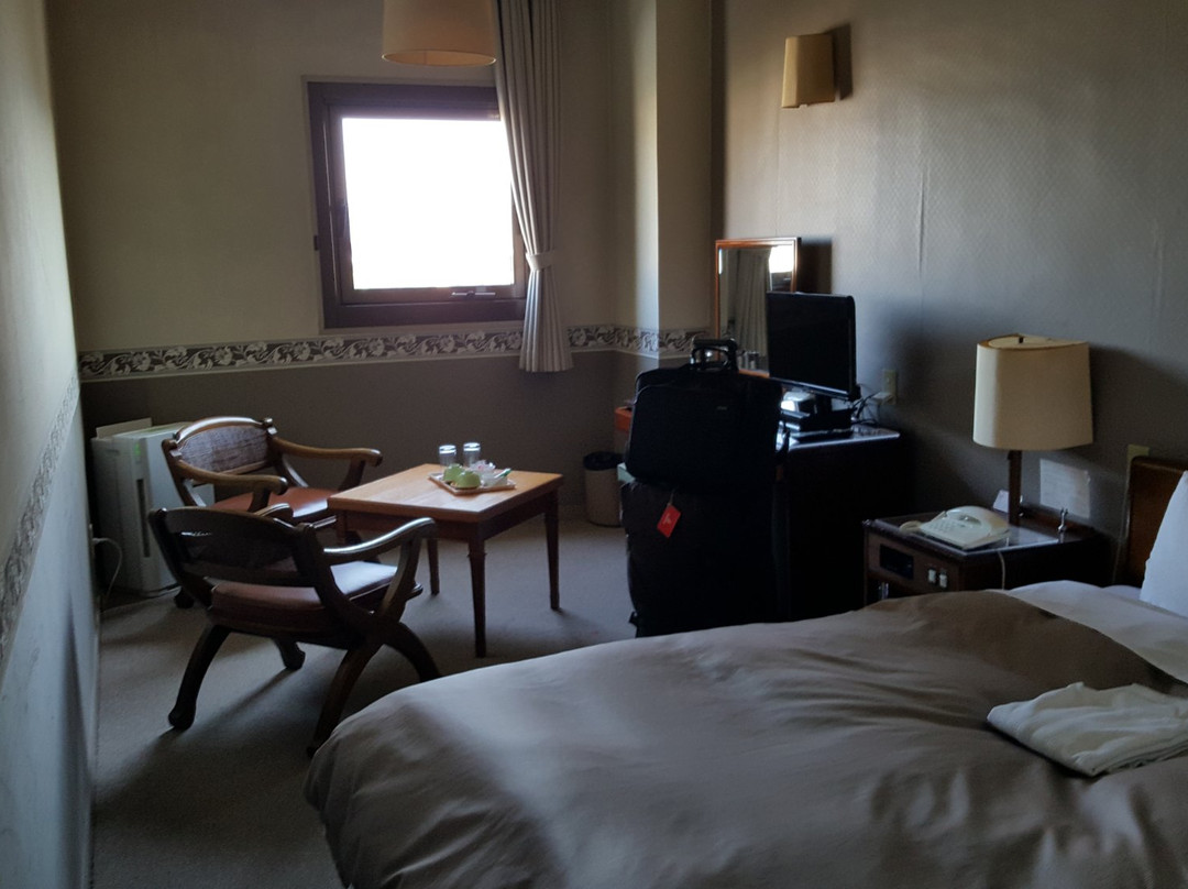 Mishima Plaza Hotel主图