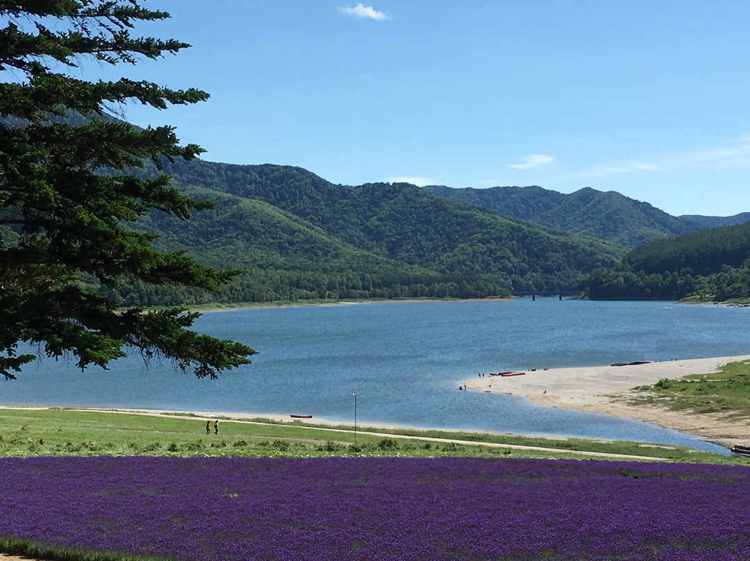 Lake Kanayama Forest Park景点图片
