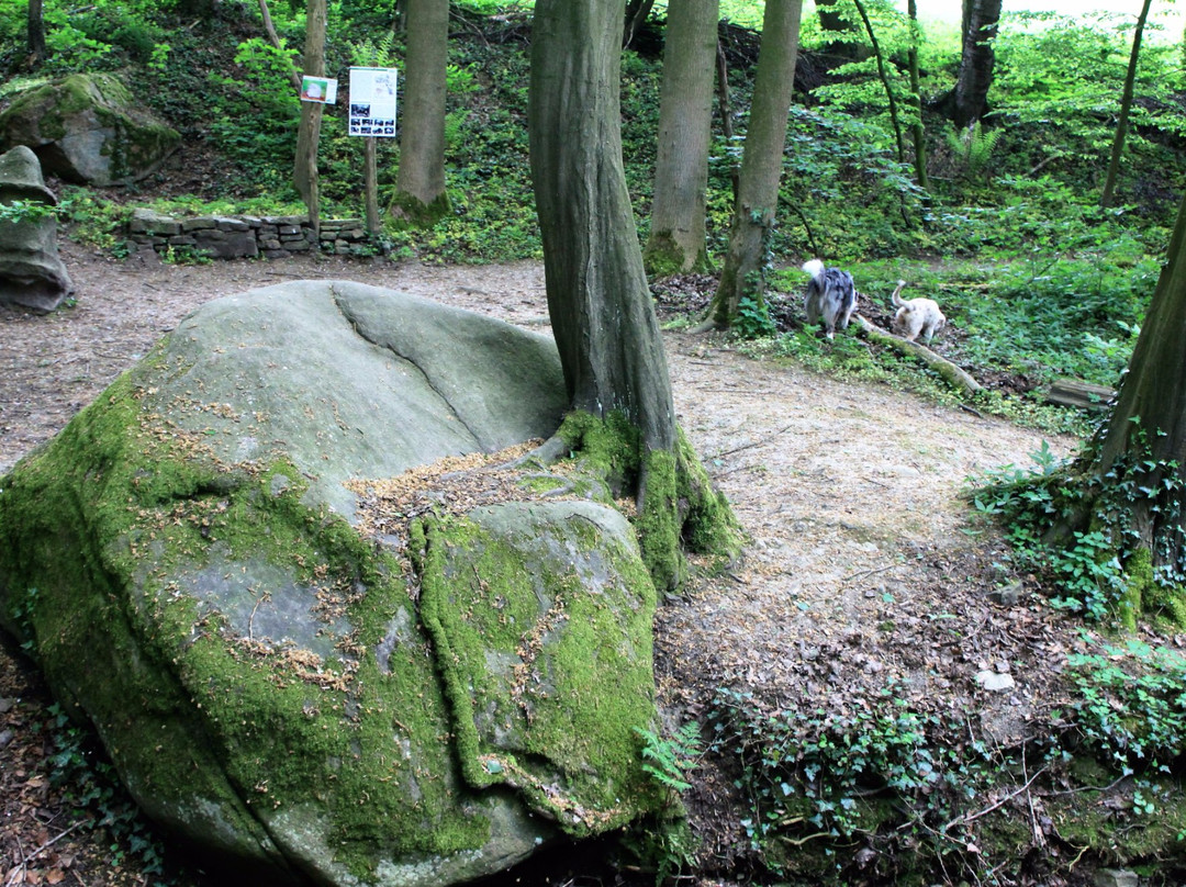 Patensteig mit Wasserfäellen景点图片