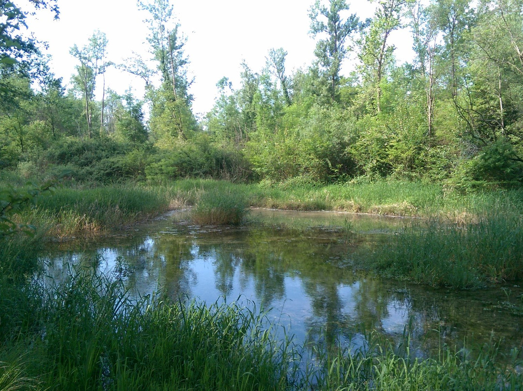 Parco del Piave景点图片