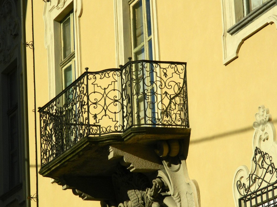 Palazzo Sannazzaro景点图片