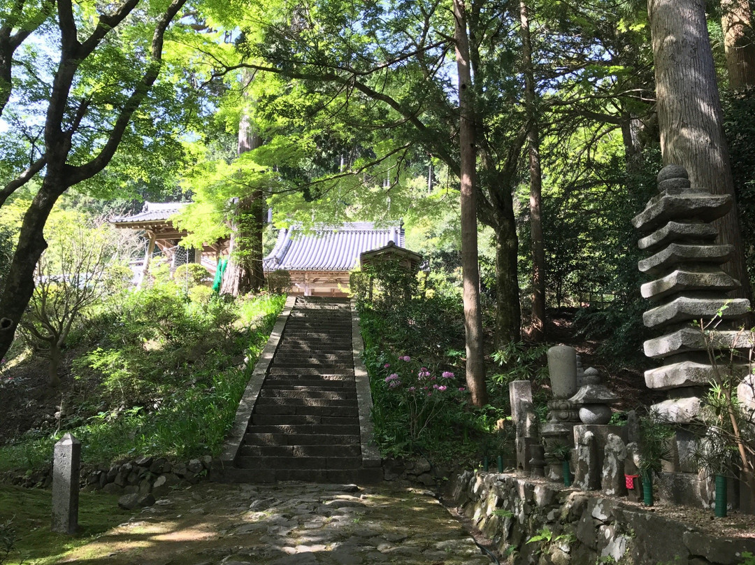 Otowasan Kannonji Temple-樱井市必去景点