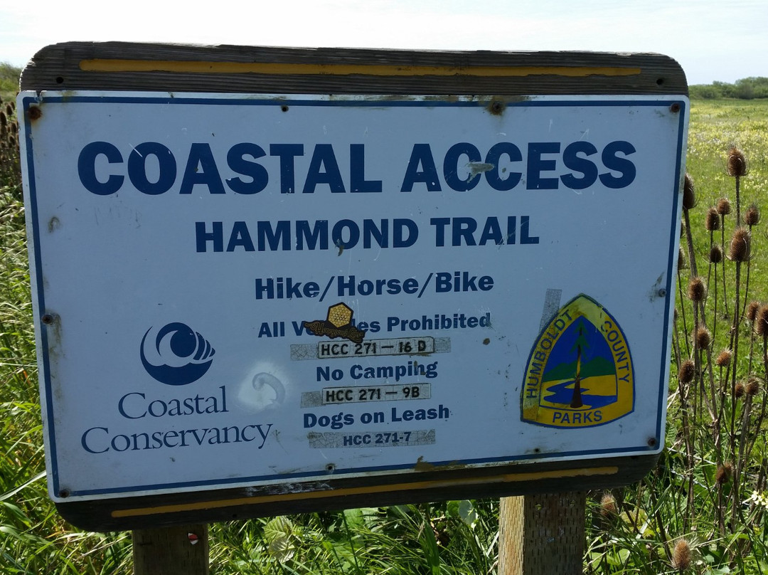 Hammond Trail-McKinleyville必去景点