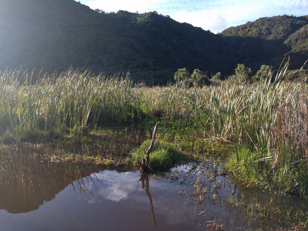 Pararaha Valley Track景点图片