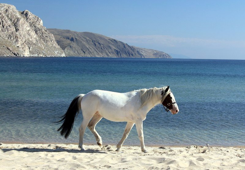 Baikal Horse-Riding and Tourist Center景点图片