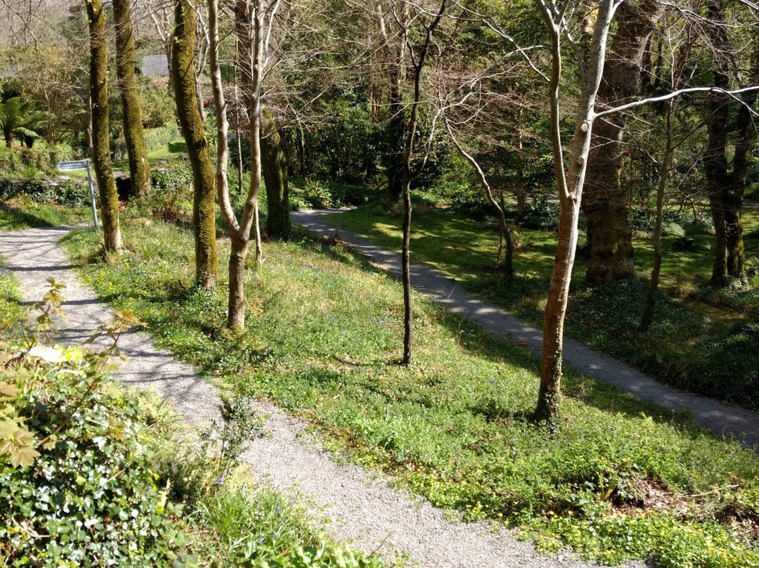 Irish Fairy Trails-Caherdaniel必去景点