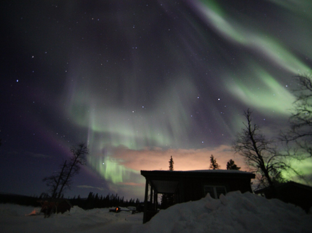 Campalta AB-基律纳必去景点