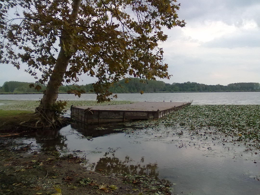 Parco Naturale del Lago di Candia景点图片