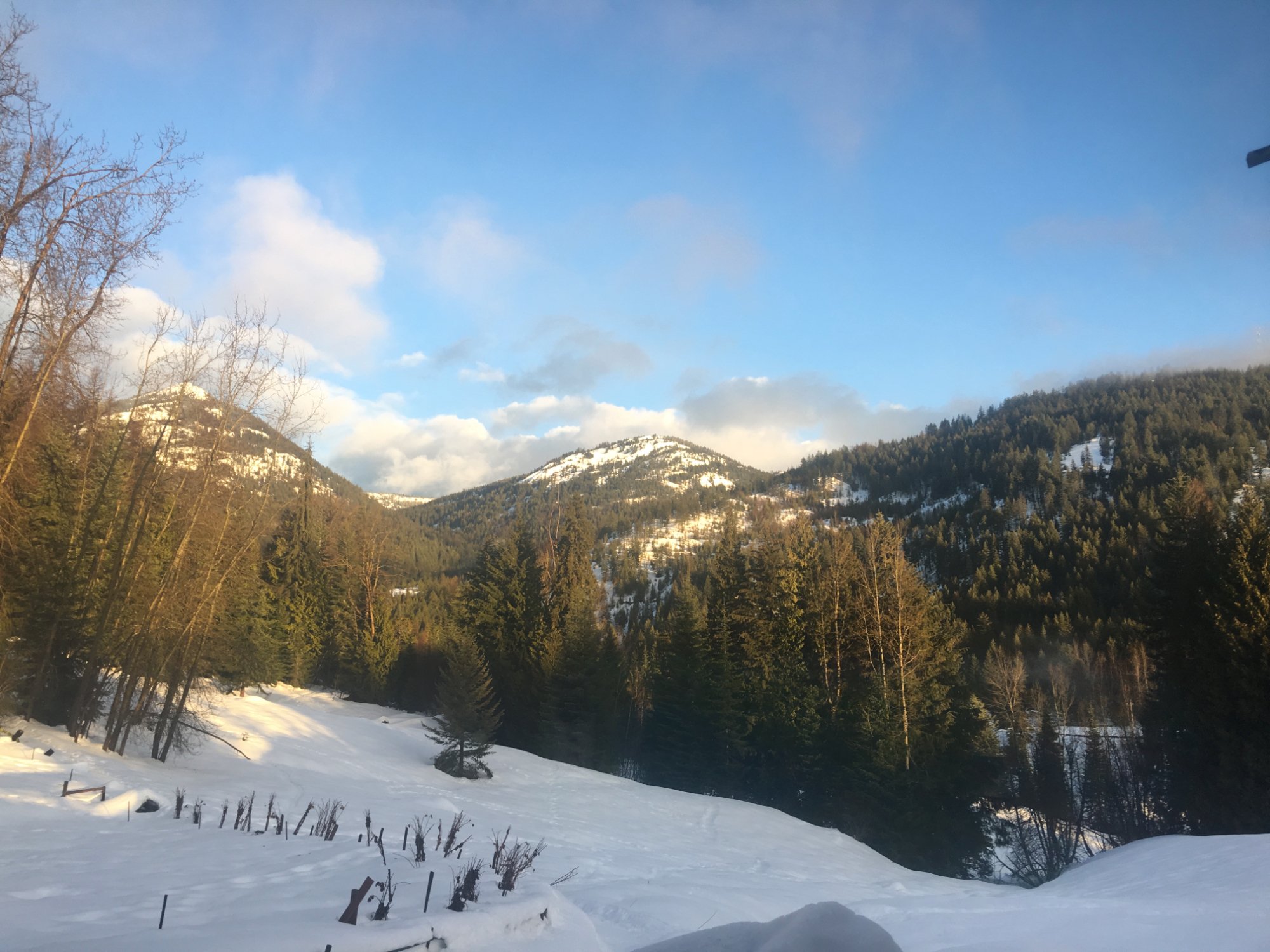 Red Barn Lodge-酒店景观