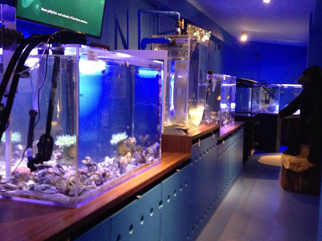Alberni Aquarium and Stewardship Centre景点图片