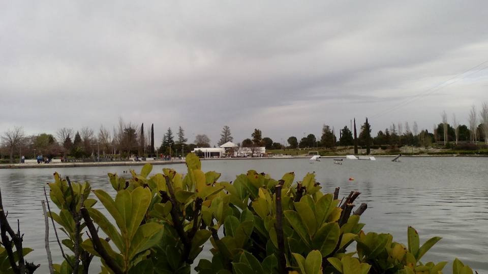 Parque Municipal Juan Carlos I-品度必去景点