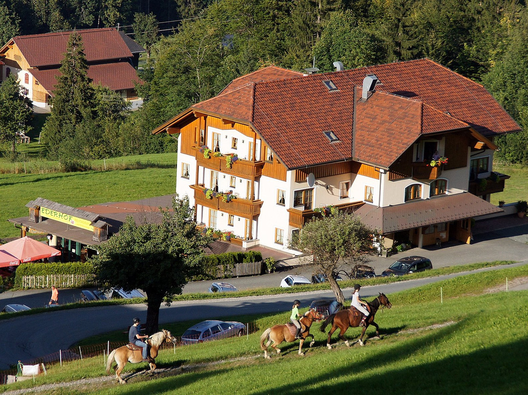 Schlanitzen酒店住宿-Ederhof