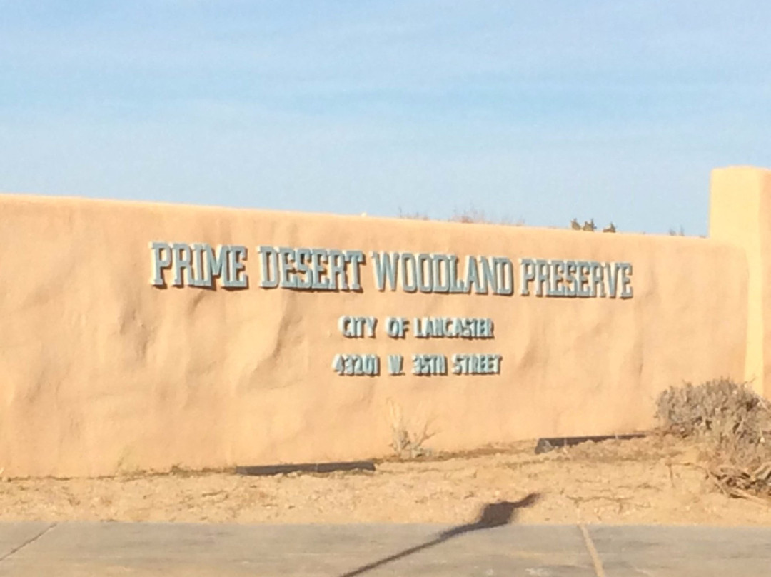 Prime Desert Woodland Preserve-兰开斯特必去景点