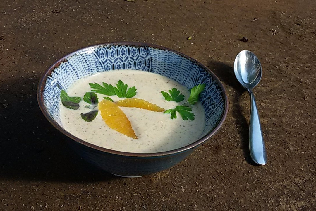 Evelien Sipkes Studio-威廉斯塔德必去景点