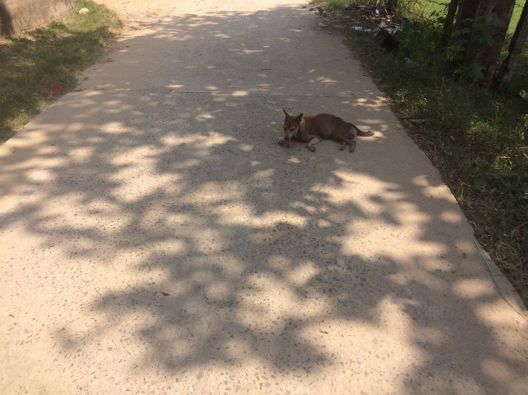 River View Villa Weligama主图