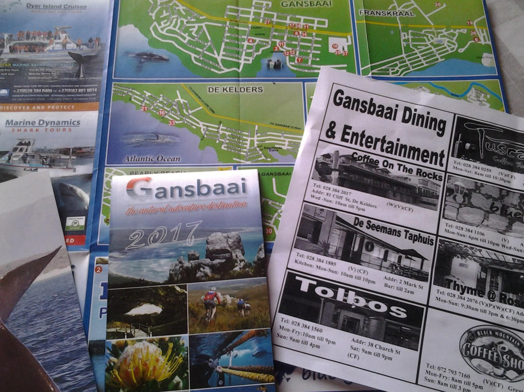 Gansbaai Tourism-干斯拜必去景点