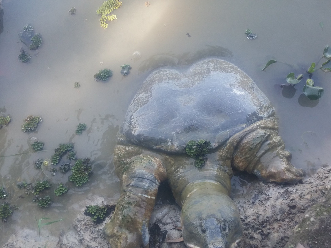 Dhekiajuli-Tezpur必去景点