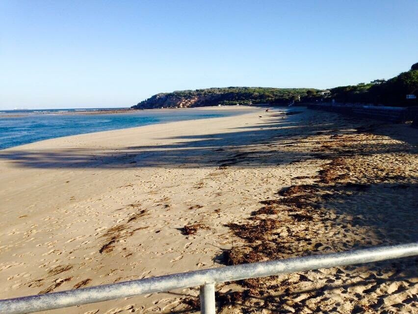 Buckley Park Foreshore Reserve-Ocean Grove必去景点