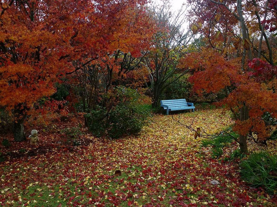 Brindabella Country Garden-Highfields必去景点