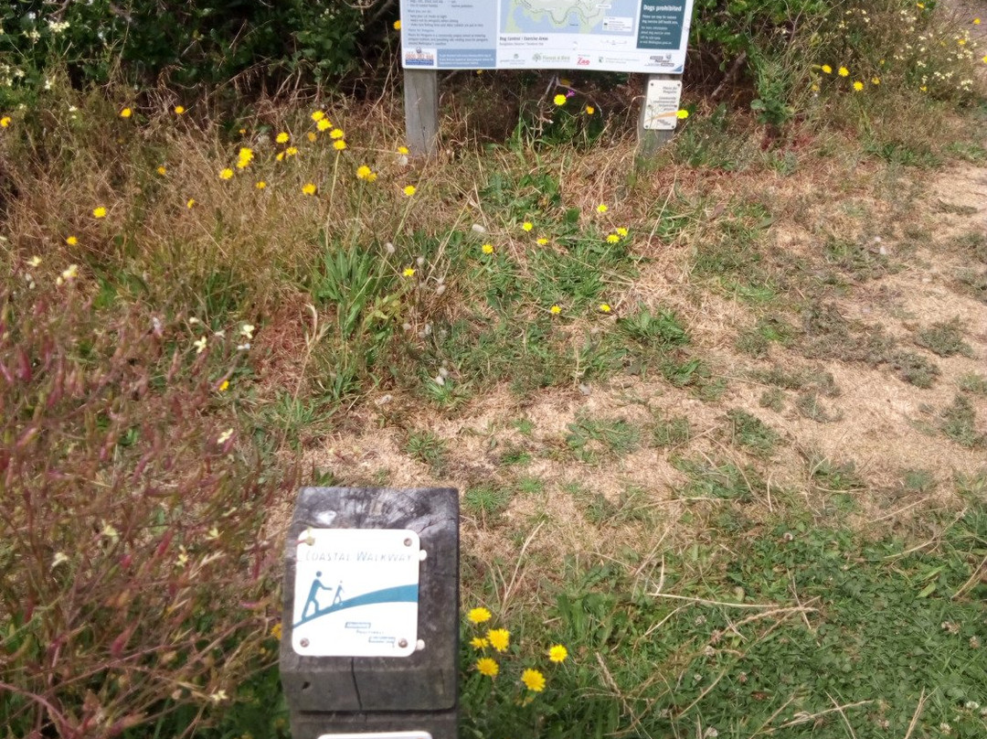 Tarakena Bay-惠灵顿必去景点