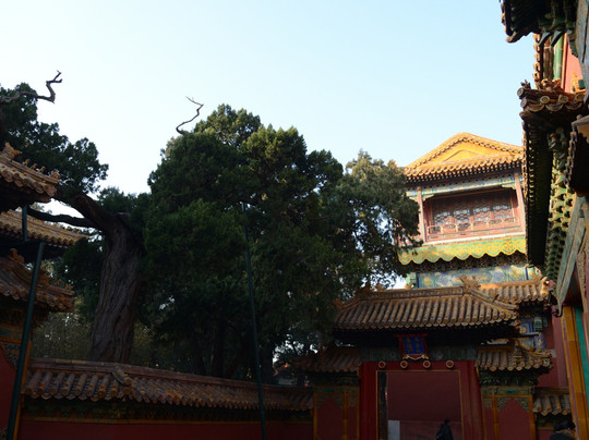 内廷-北京市必去景点