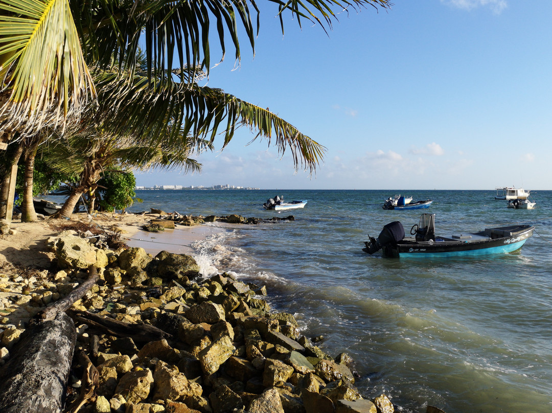 Bahía Cocoplum景点图片