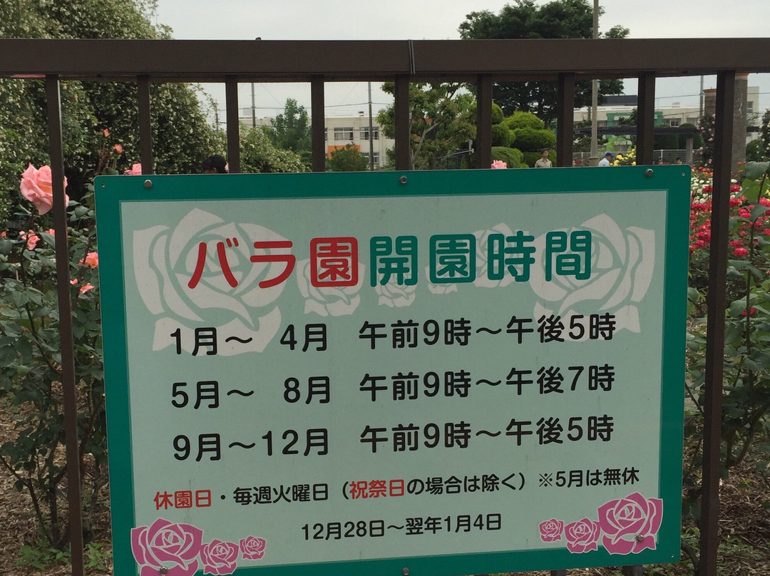 Wakazono Park-茨木市必去景点