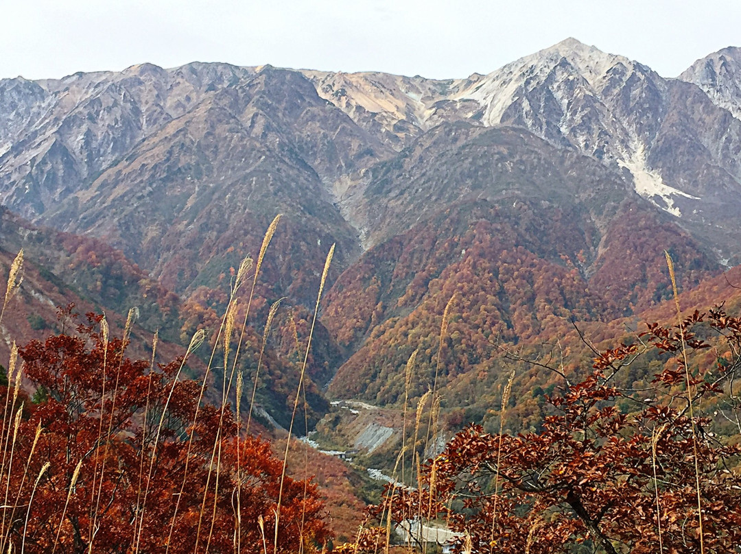 Kitaone Kogen Highland景点图片