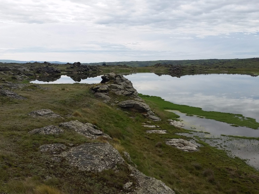 Sutton Salt Lake-Middlemarch必去景点