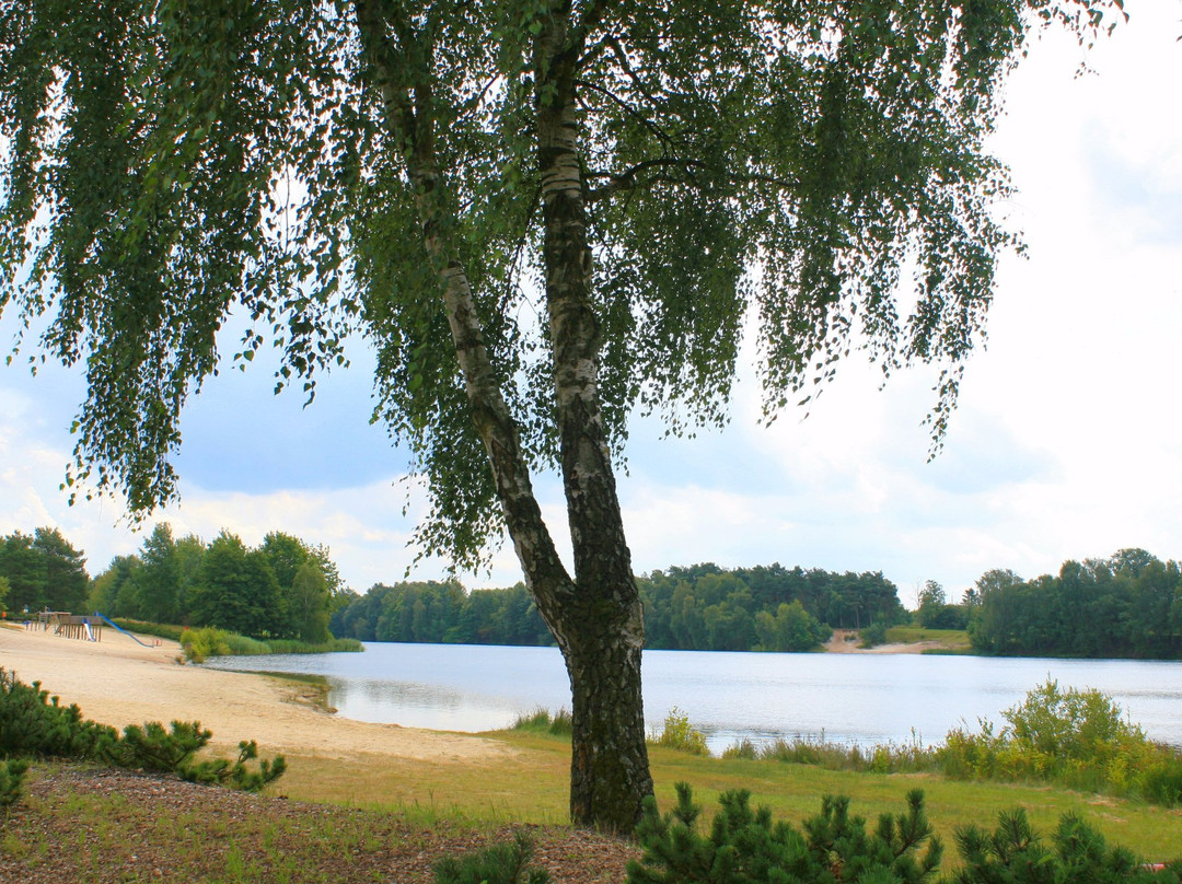 Flüeggenhofsee-Munster必去景点