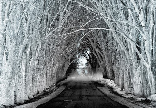 Purloin Studio-Menomonee Falls必去景点