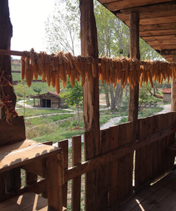 Aktopraklik Hoyuk Arkeopark ve Acikhava Muzesi景点门票图片