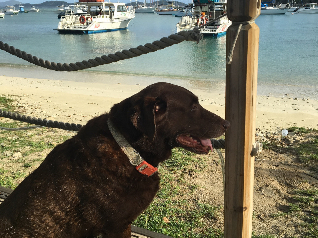 Coconut Coast Studios-圣约翰必去景点