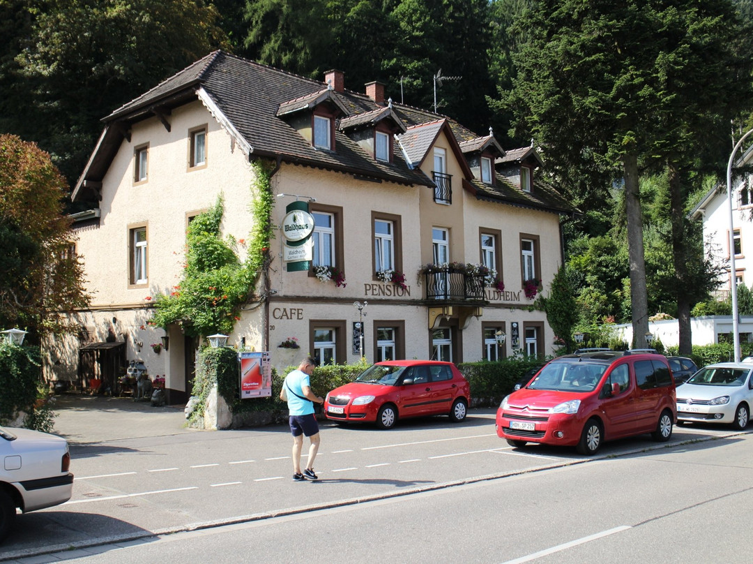 Hotel Waldheim主图