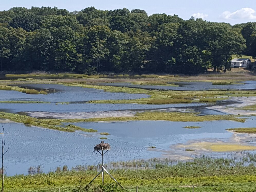 Route 146 Scenic Drive-布兰福德必去景点