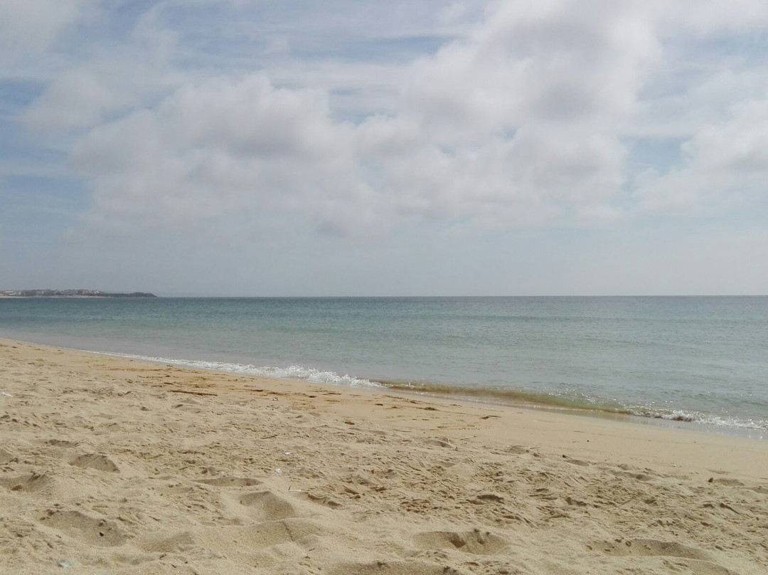 Molhe Leste Beach景点图片