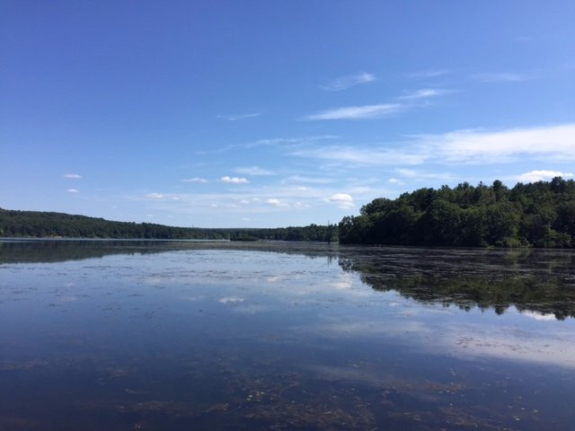 Mansfield Hollow State Park景点图片