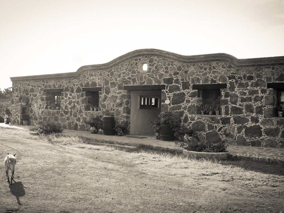 Rancho Las Cascadas Riding Tours-San Agustin Buenavista必去景点