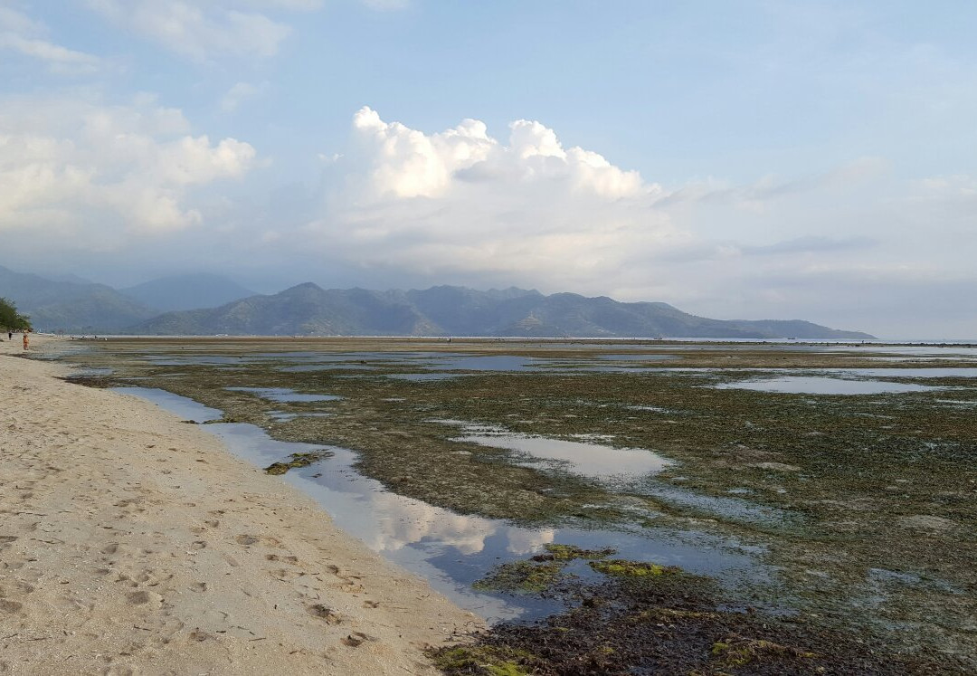 吉利阿尔夕阳大酒店