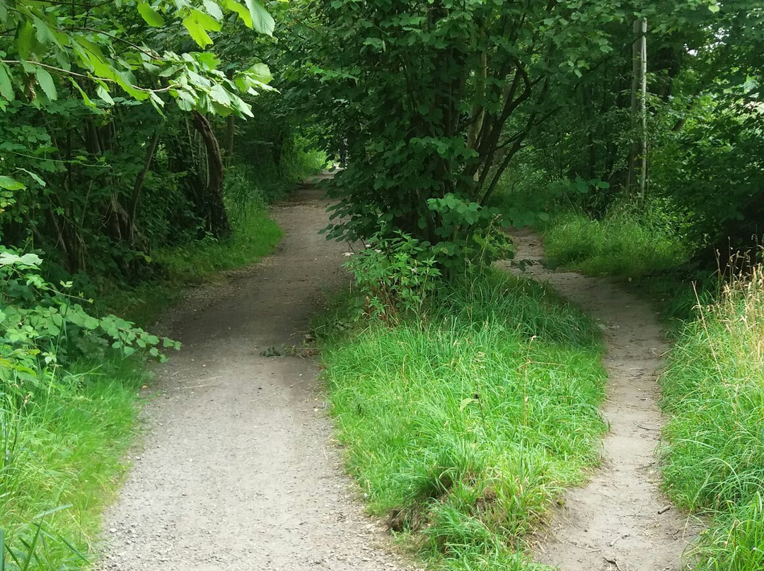 Park Malou-Woluwe-Saint-Lambert必去景点