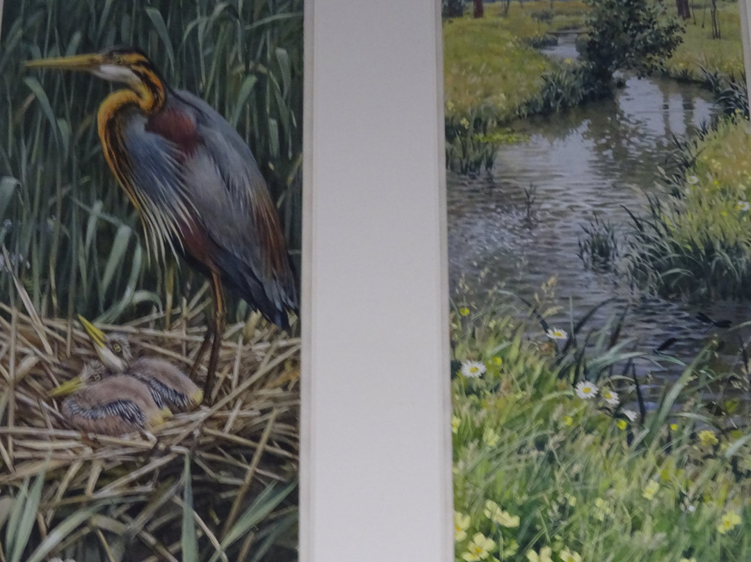 Vogelreservaat Polder IJdoorn景点图片