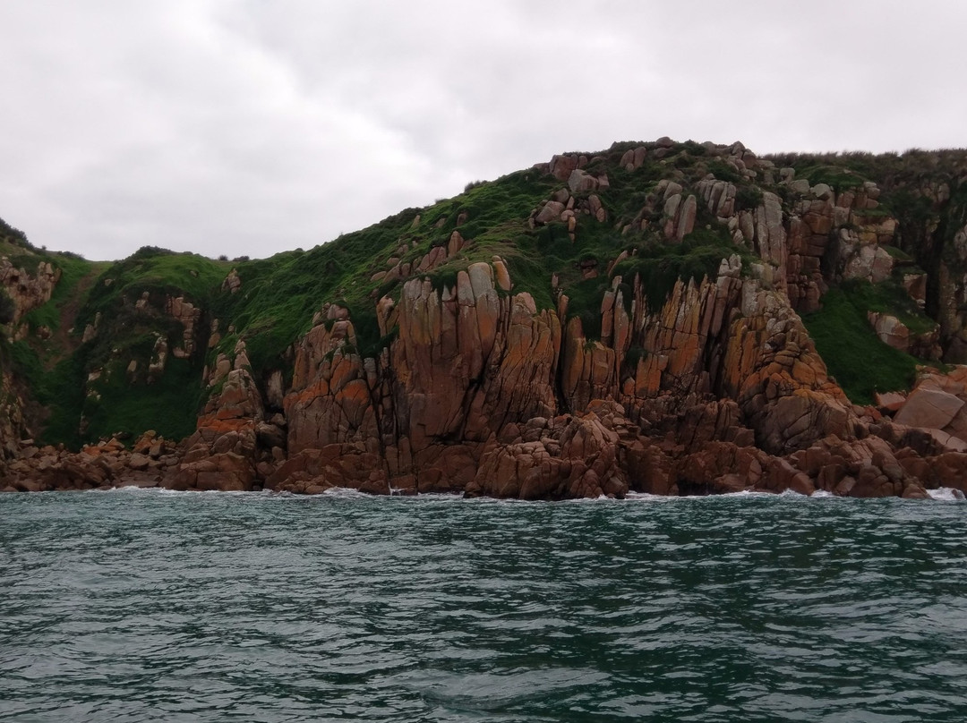Phillip Island Nature Parks-考斯必去景点