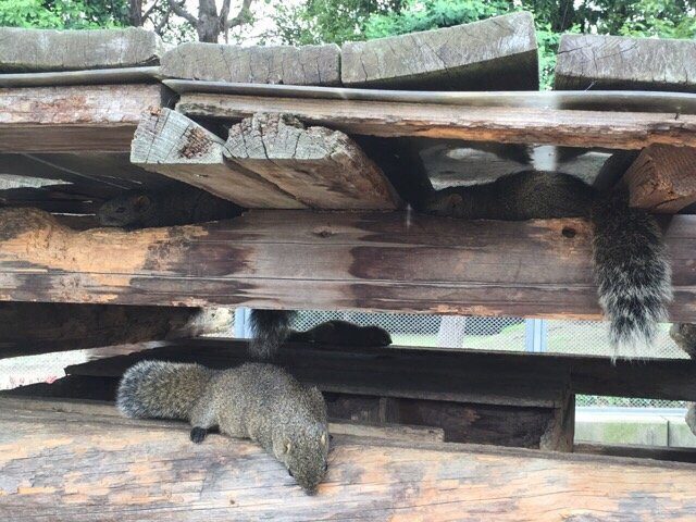 Shimin Fureai no Sato-大阪狭山市必去景点