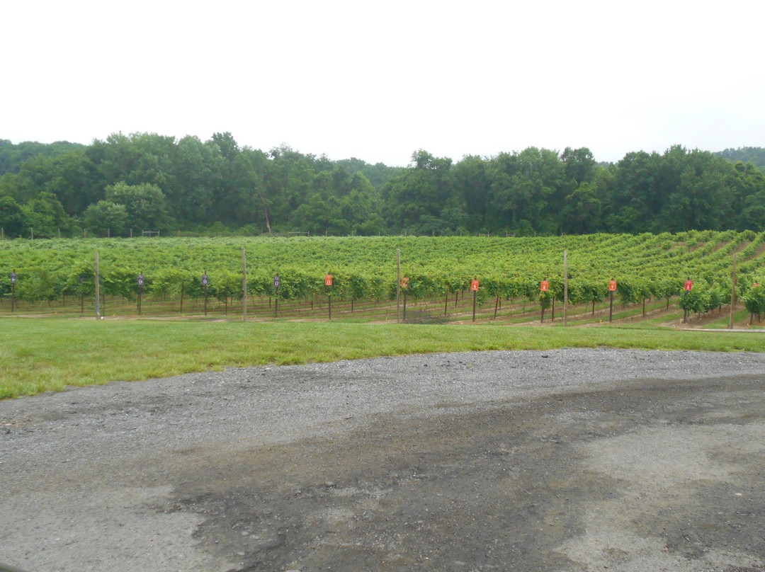 Brook Hollow Winery And Event Facility景点图片
