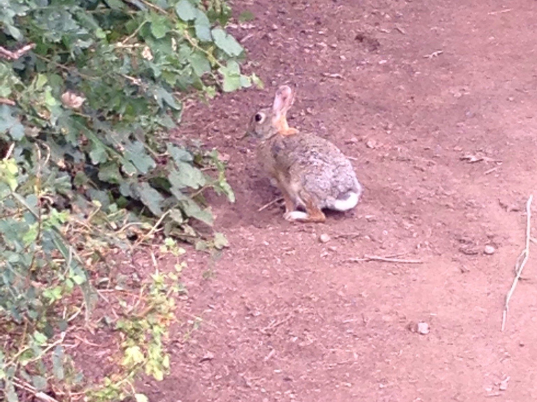 Deer Creek Canyon Park景点图片