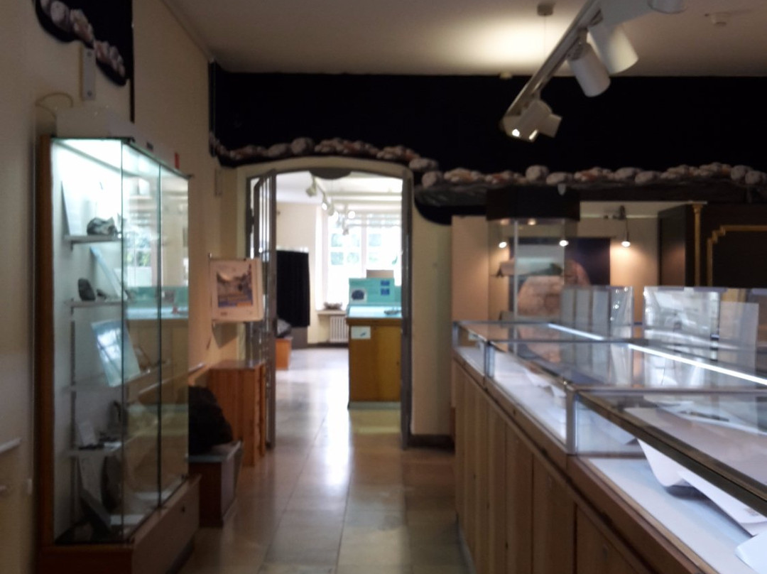 Mineralogisches Museum der Universität Bonn-波恩必去景点