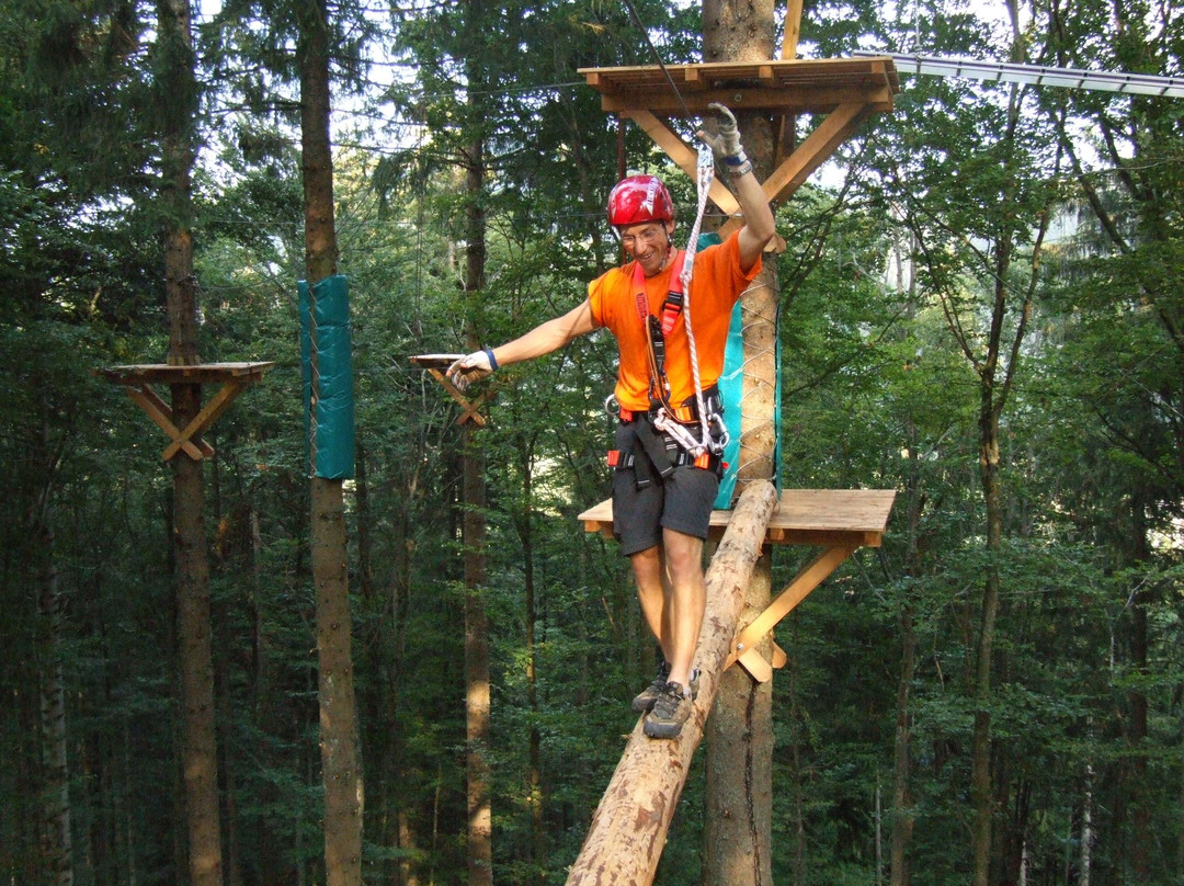 Action Forest Kletterwald景点图片