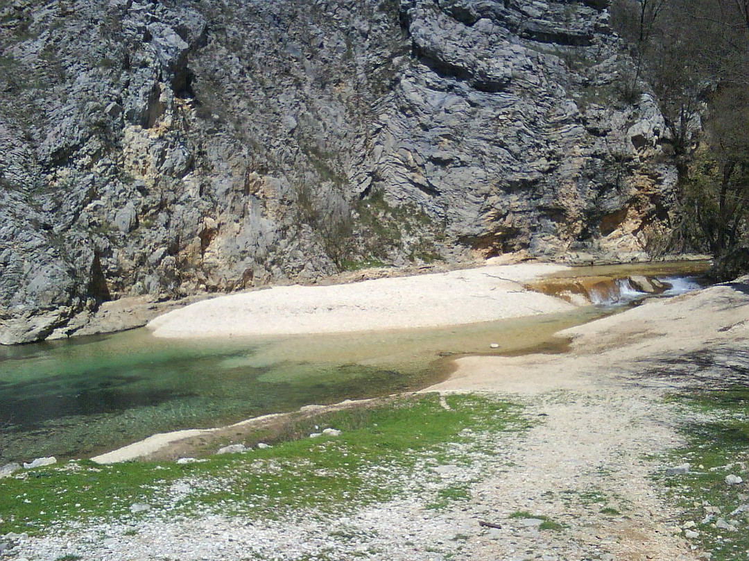 Borak River Source景点图片